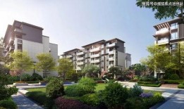 天涯爆料西港新闻网最新,天涯爆料揭示最新热点事件